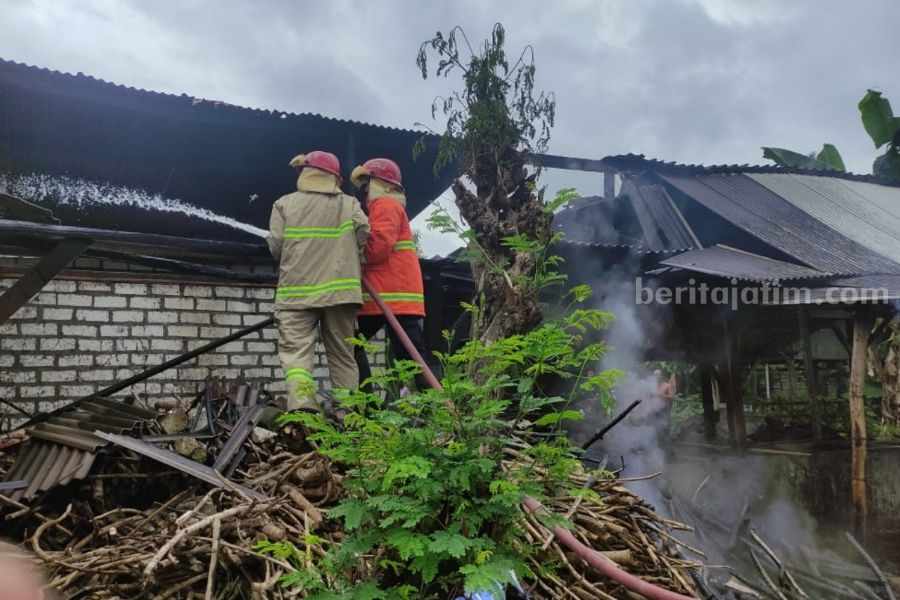 Kandang Sapi Terbakar