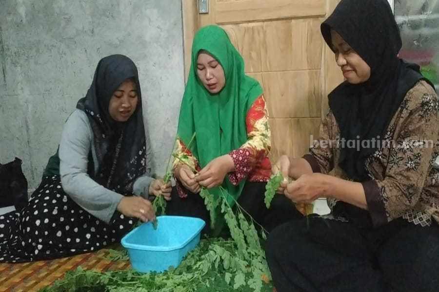 Petik Kelor