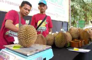 jombang