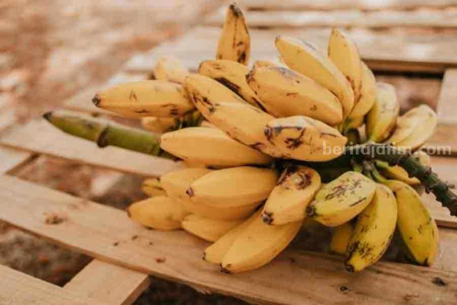 Ilustrasi buah pisang yang memiliki kandungan baik dan kaya manfaat. (Pexels)