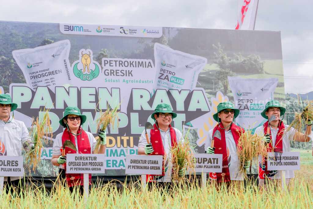 Program Demplot Pupuk Non Subsidi Tingkatkan Produktivitas Padi