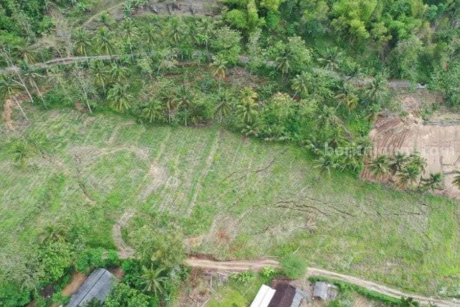 Nasib Korban Terdampak Tanah Bergerak di Blitar Belum Jelas tanah bergerak
