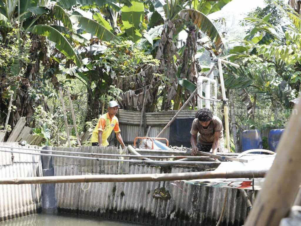 Para peternak lele saat memberikan pakan yang telah diproduksi dengan mesin dari LMI.