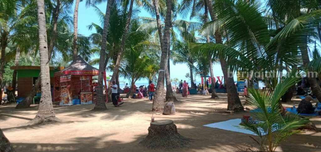 Wisata Pantai Kelapa yang terletak di Kelurahan Panyuran, Kecamatan Palang, Kabupaten Tuban. [Foto : Diah Ayu/beritajatim.com]