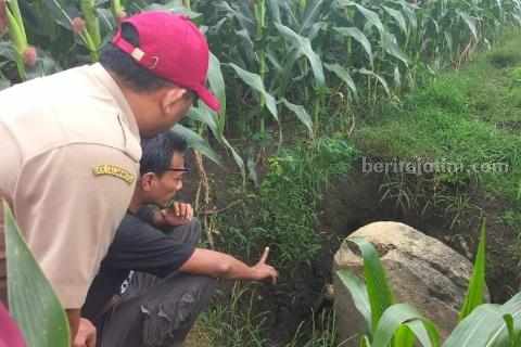 2 Prasasti Sambangan Ditemukan di Modo Lamongan Pemerhati budaya Lamongan saat melakukan penelitian terhadap Prasasti Sambangan di Kecamatan Modo.