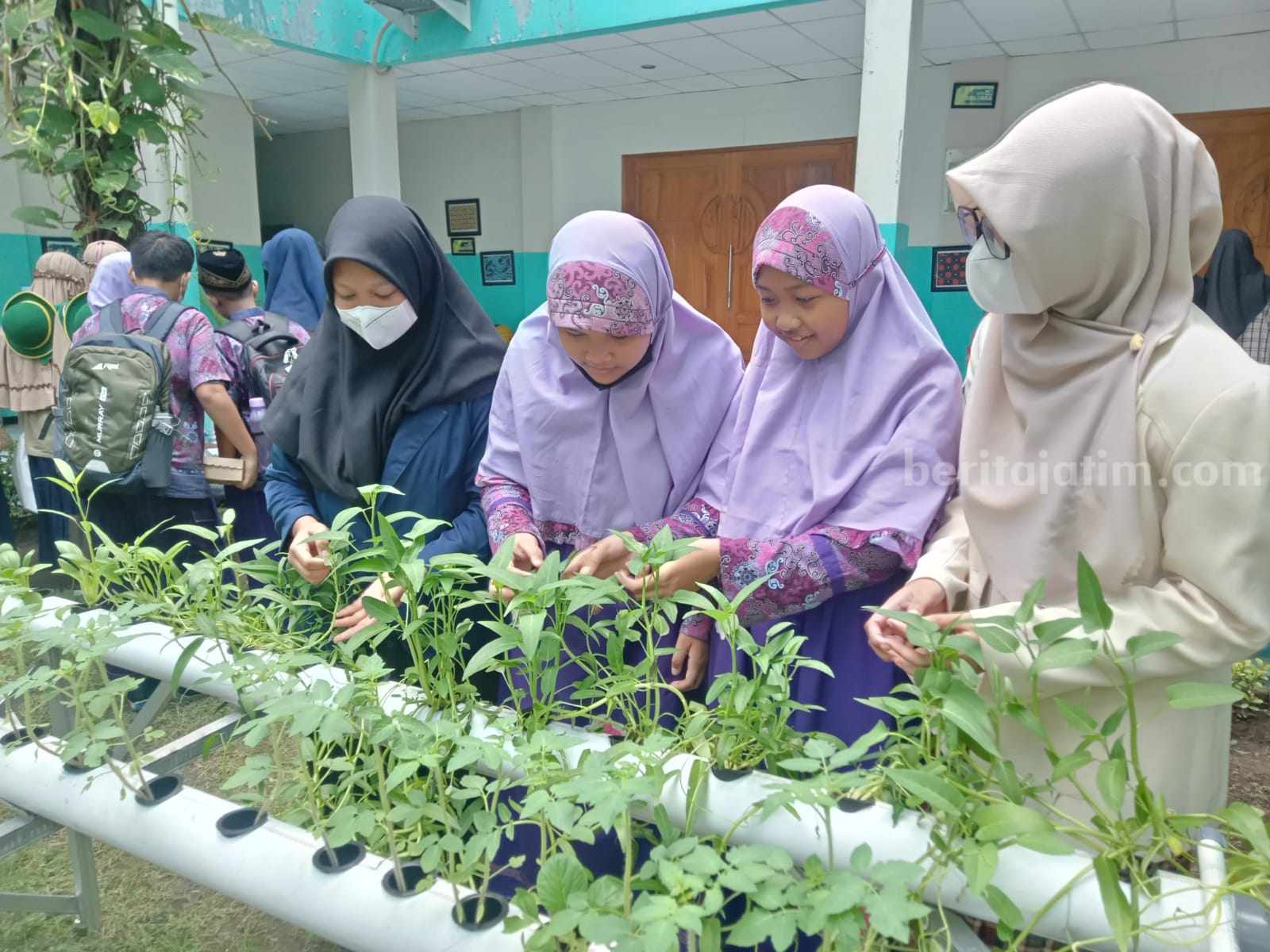 SMP Al Falah Deltasari Sidoarjo