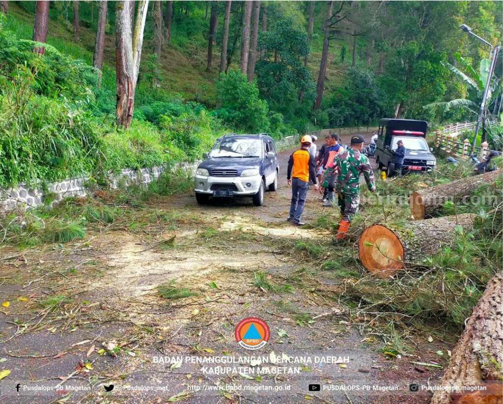 Petugas saat memgevakuasi pohon tumbang di jalan menuju loket Telaga Sarangan, Rabu (1/3/2023)