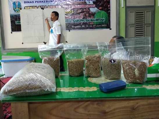 Tak Hanya Durian, Poncol Magetan Juga Terkenal dengan Kopi Lokal kopi magetan