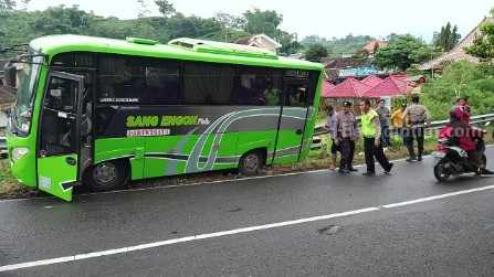 bus wisata