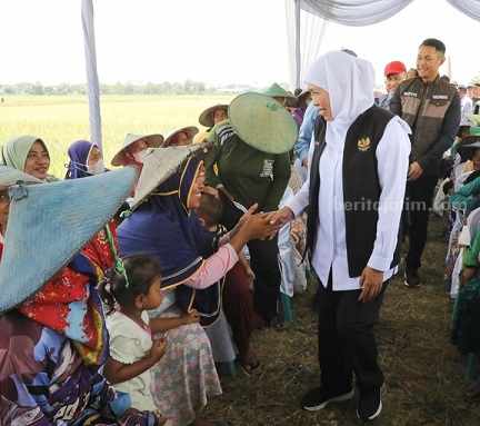 Petani Keluhkan Harga Pupuk, Gubernur Jatim: Pemprov Beri Bantuan Permodalan Gubernur Jawa Timur Khofifah Indar Parawansa disambut petani Tuban