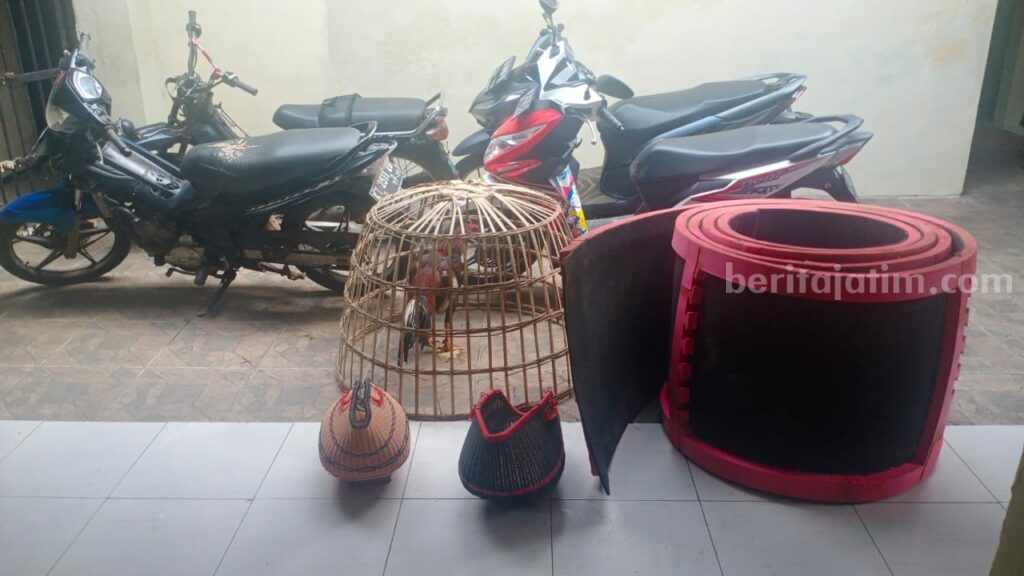 Gerebek Sabung Ayam di Sumenep, Semua Penjudi Kabur