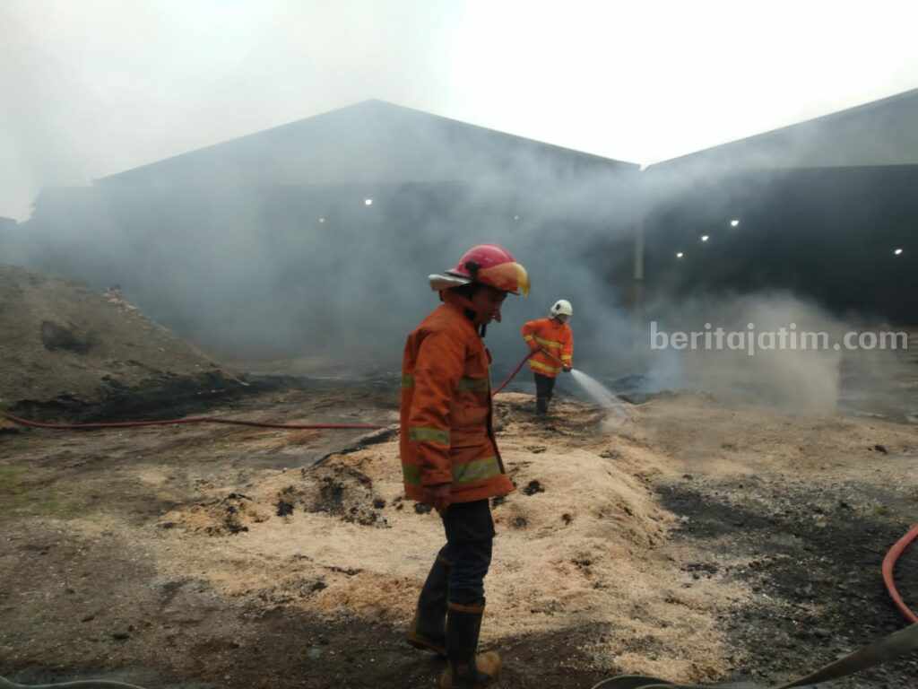 Petugas damkar BPBD Kabupaten Mojokerto melakukan upaya pemadaman. [Foto : ist]