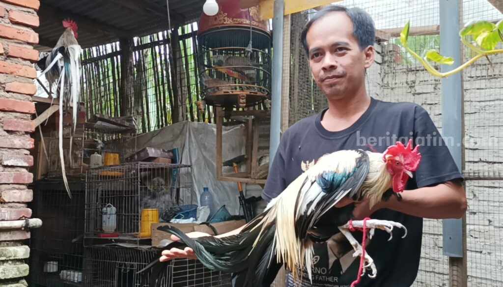 Imron Wahyudi, warga Desa Pandanmulyo, Kecamatan Tajinan, Kabupaten Malang, bersama ayam hias peliharaannya.