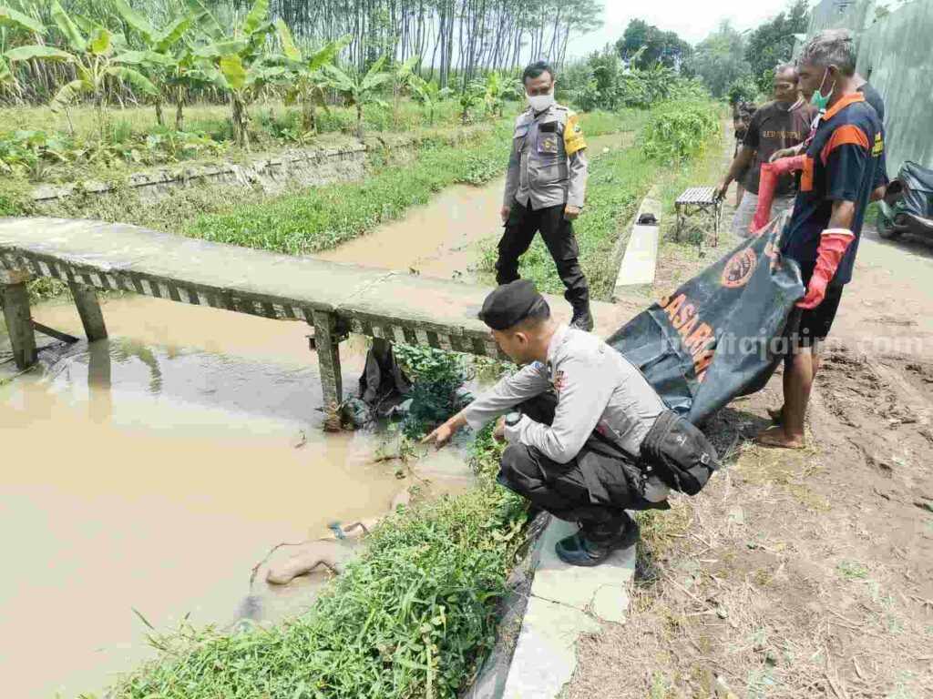 Mayat Bercelana Dalam Hijau Hanyut di Sungai Mojokerto mayat
