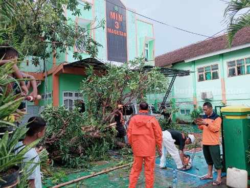 Mobil operasional Sekolah MIN 3 Tawanganom tertimpa pohon mangga, Senin (20/03/2023).