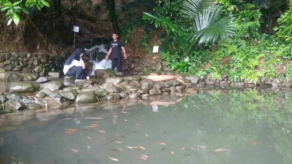 Sumber Bebekan