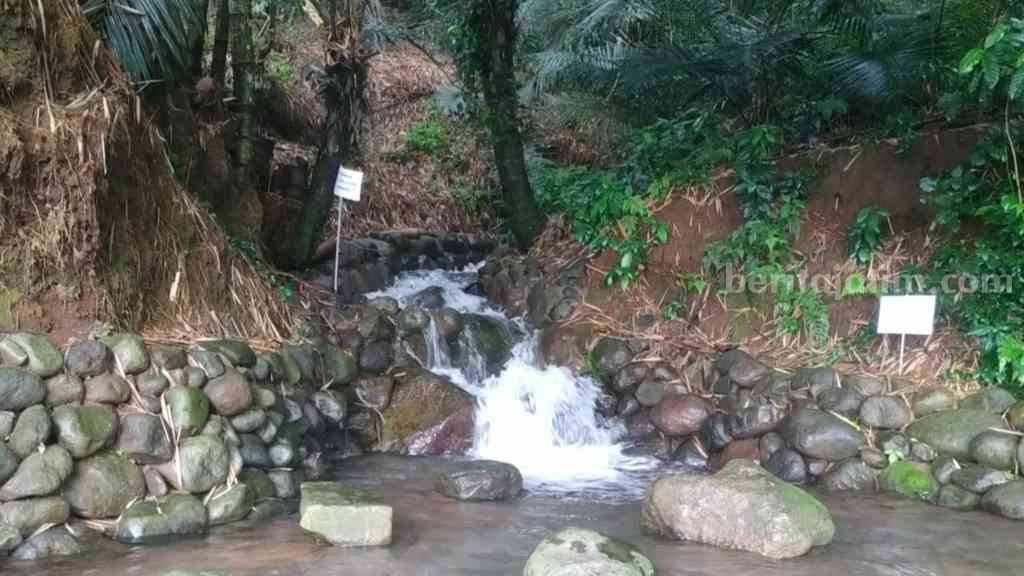 Sumber Bebekan