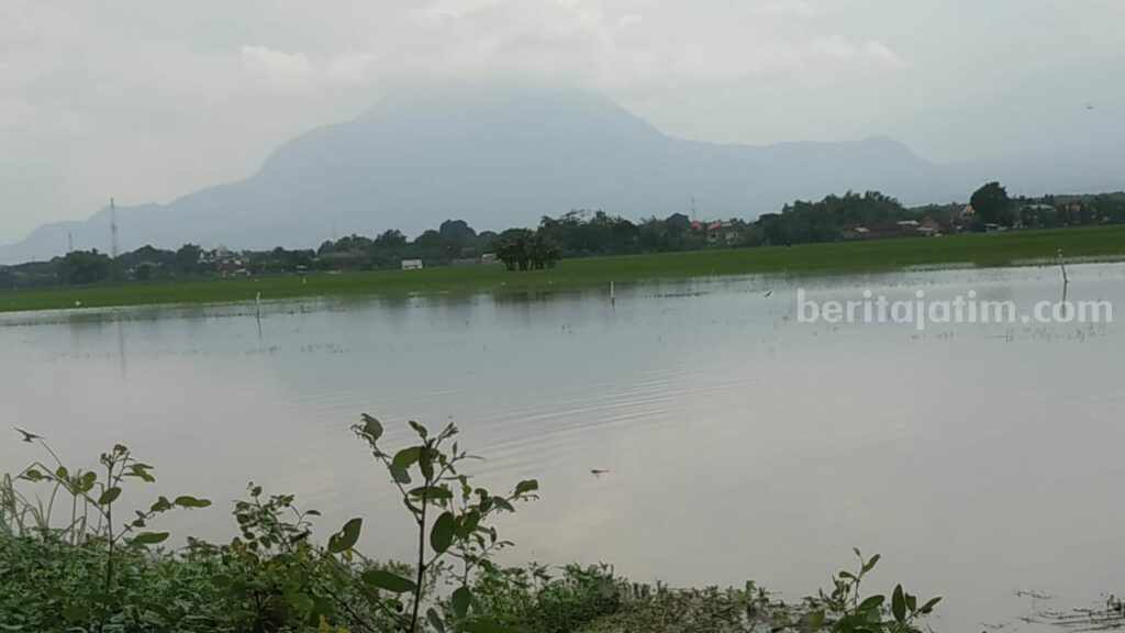 Banjir merendam kawasan Dusun Gembongan, Desa Jotangan, Kecamatan Mojosari, Kabupaten Mojokerto beberapa waktu lalu. [Foto : dok]