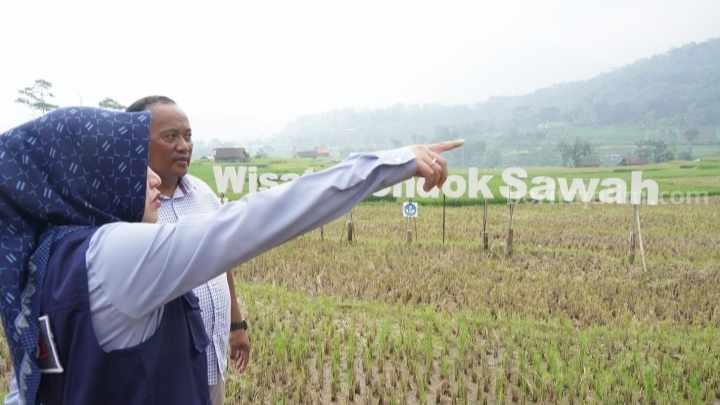 Bupati Mojokerto Ikfina Fahmawati melakukan inspeksi di wisata Pondok Sawah Watu Tapak. [Foto : ist]
