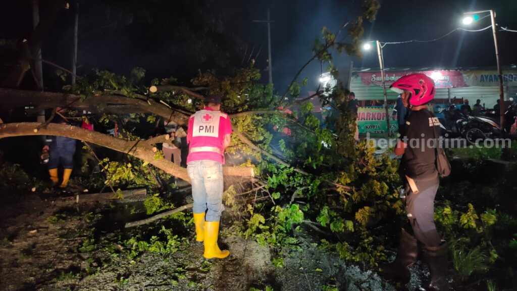 Relawan PMI Kabupaten Mojokerto bersama instansi terkait melakukan evakuasi pohon tumbang. [Foto : ist]