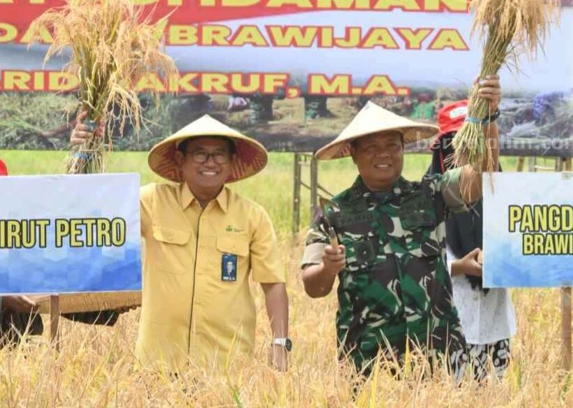 Dirut Petrokimia Gresik Dwi Satryo Annurogo (kiri) dan Pangdam V Brawijaya Mayjen TNI Farid Makruf (kanan) saat melakukan panen padi idaman di Desa Wedoroanom, Kecamatan Driyorejo, Gresik