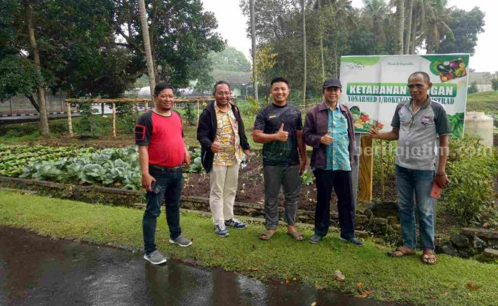 Armed Malang dan Indolakto Pasuruan Hasilkan Sayuran Tanpa Pestisida Yasman Suparyo, HRGA Manager PT Indolakto melakukan panen raya sayur dari media sludge