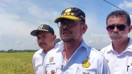 Profil dan Harta Kekayaan Syahrul Yasin Limpo yang Mundur dari Jabatan Menpan Menteri Pertanian Syahrul Yasin Limpo saat meninjau area sawah di Desa Kartoharjo, Kecamatan/Kabupaten Ngawi.