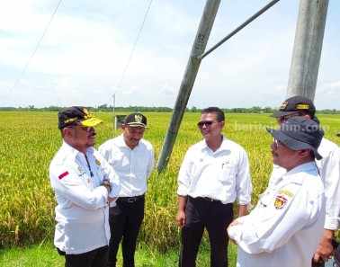 Menteri Pertanian Syahrul Yasin Limpo saat meninjau area sawah di Desa Kartoharjo, Kecamatan/Kabupaten Ngawi.