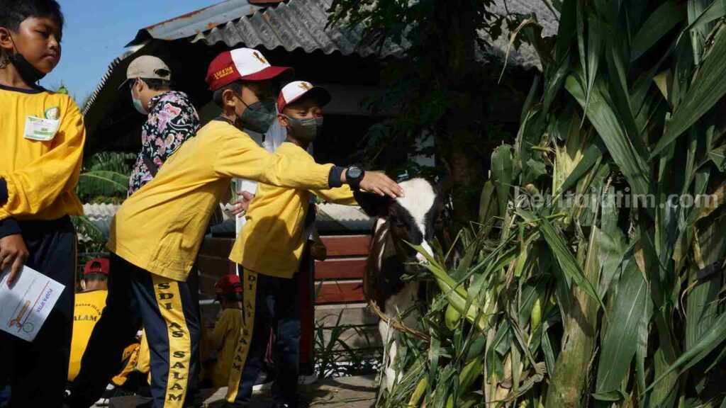 Suasana edupark FPP UMM (Foto: Istimewa)
