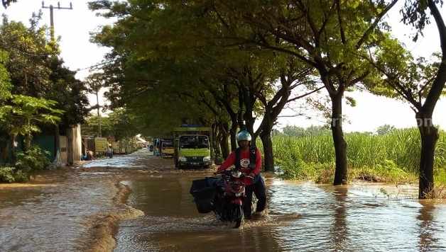 Jalan Penghubung Jombang-Kediri Banjir, Dampak Tanggul Jebol tanggul jebol jombang