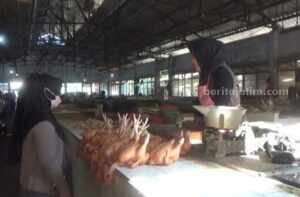 Pedagang daging ayam di Pasar Mojoagung Jombang