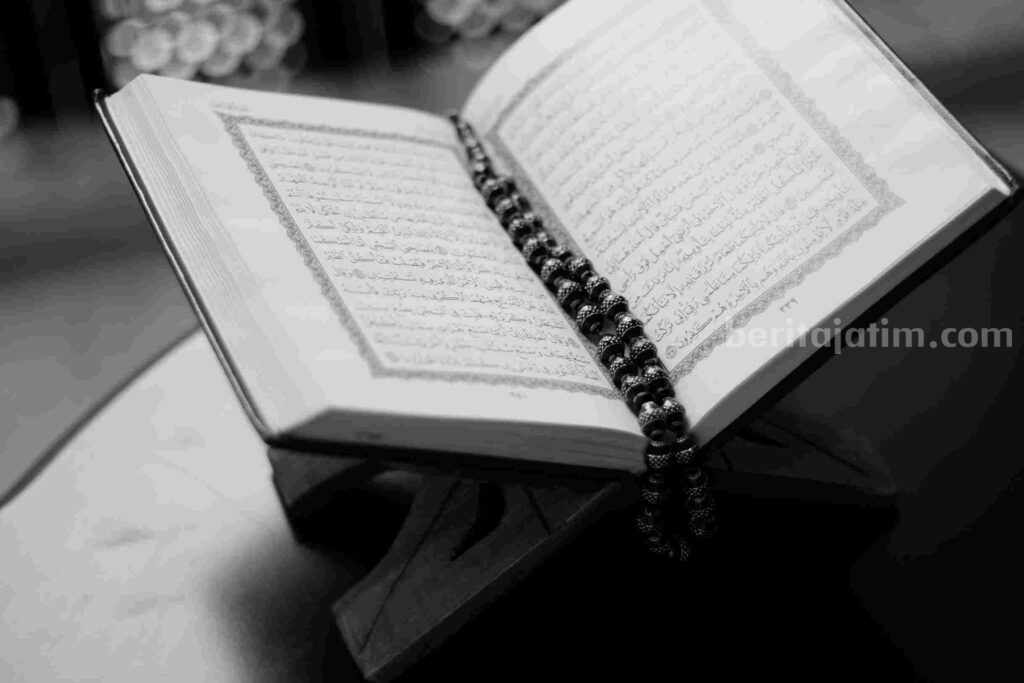 Sumber foto: Abdulmeilk Aldawsari/pexels.com