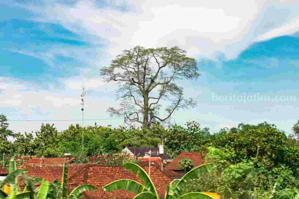 Ilustrasi cuaca cerah berawan (Foto: Unsplash)