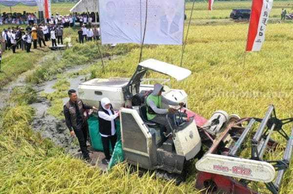khofifah tuban
