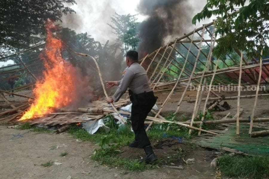 sabung ayam
