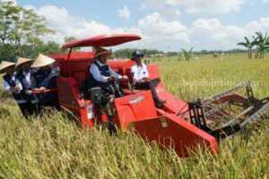 Genjot Produksi, Pemkab Sumenep Rutin Gelar Pelatihan Vokasional Petani sumenep panen
