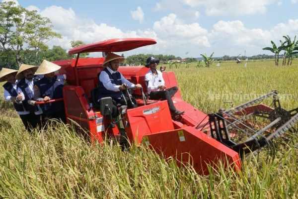 Sumenep Ambil Bagian Panen Raya Padi 1 Juta Hektare sumenep panen