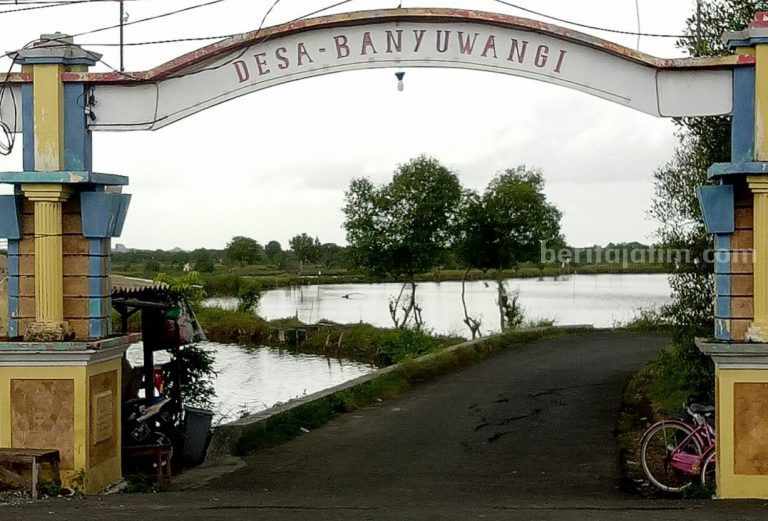 Di Kabupaten Gresik Juga Ada Nama Banyuwangi Desa Banyuwangi
