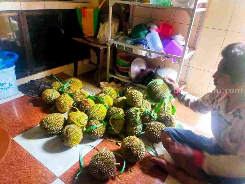 Salah satu warga usai memanen buah durian. [Foto : ist]