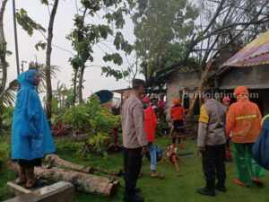 Anggota Polsek Kedunggalar bersama BPBD Ngawi dan petugas gabungan saat hendak mengevakuasi pohon raksasa yang menimpa rumah warga di Desa Pelang Kidul, Kedunggalar, Ngawi, Sabtu (8/4/2023) Anggota Polsek Kedunggalar bersama BPBD Ngawi dan petugas gabungan saat hendak mengevakuasi pohon raksasa yang menimpa rumah warga di Desa Pelang Kidul, Kedunggalar, Ngawi, Sabtu (8/4/2023)