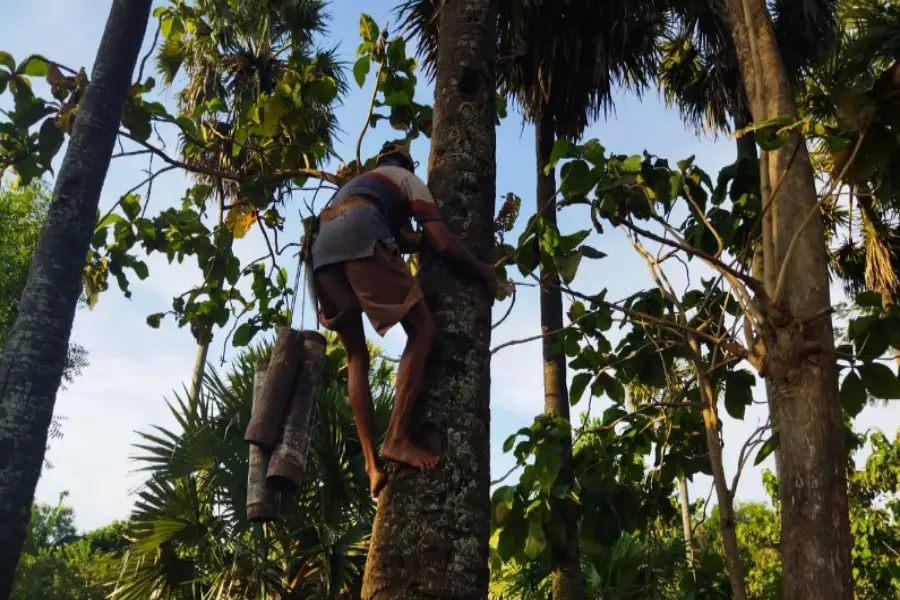 Petani Legen Tuban