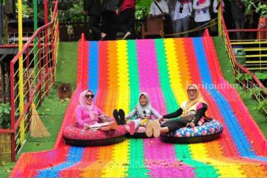 Lawu Green Forest