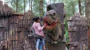 Pengunjung saat memberi makan T-Rex di Dinosaurus Park kawasan wisata Mojosemi Forest Park, Kelurahan Sarangan Kecamatan Plaosan, Magetan, Jawa Timur.