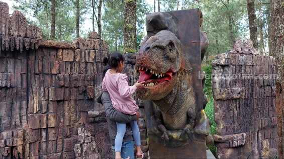 Pengunjung saat memberi makan T-Rex di Dinosaurus Park kawasan wisata Mojosemi Forest Park, Kelurahan Sarangan Kecamatan Plaosan, Magetan, Jawa Timur.