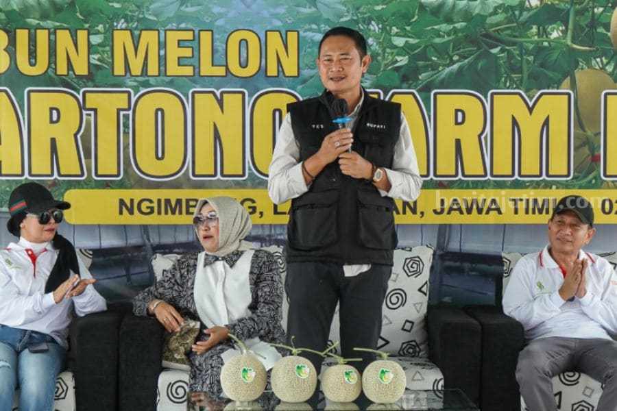 Bupati Lamongan Petik Perdana Melon Hidroponik bupati lamongan panen melon