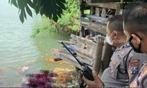 Ditemukan Mayat Perempuan di Pinggir Laut Kalianget Sumenep Evakuasi mayat perempuan ditemukan di pinggir laut