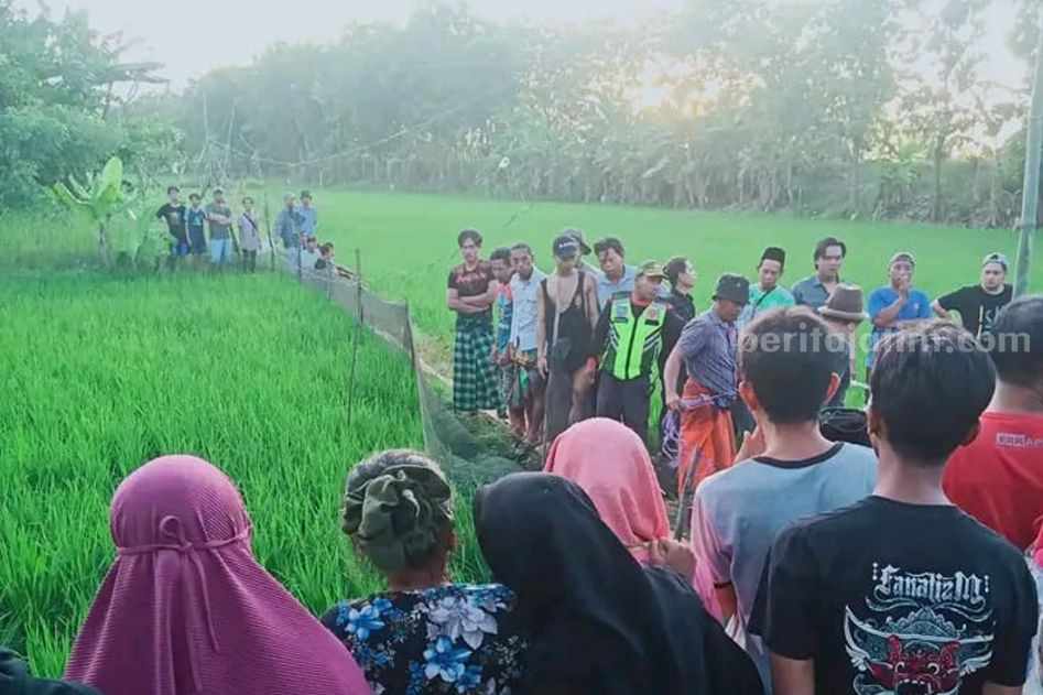 Proses evakuasi jenazah pasangan suami istri yang tewas kesetrum listrik jebakan tikus di pematang sawah Kecamatan Laren, Lamongan (Foto: Istimewa).