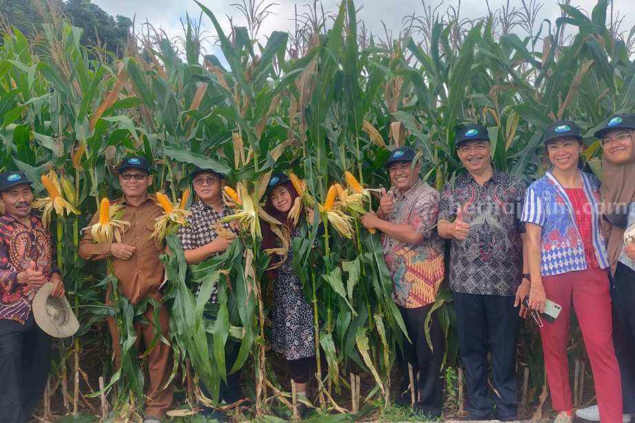 Kunjungan lapangan Jajaran Direksi Syngenta Indonesia dan Ketua APJI di Desa Banyubang, Kecamatan Solokuro, Lamongan (Foto : A. Thoriq Hidayatullah/beritajatim.com).