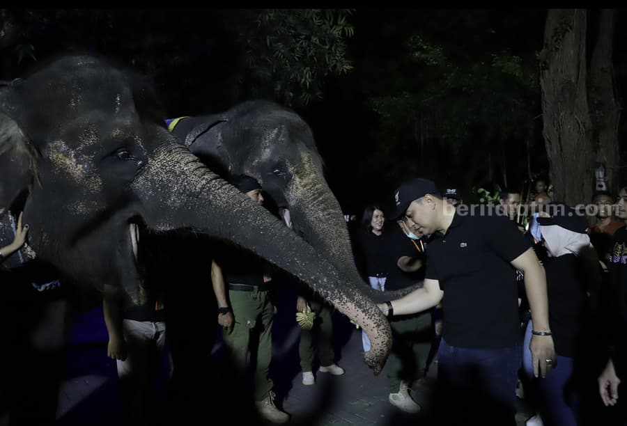 Surabaya Night Zoo Dibuka Awal Juni, Ini Harga Tiketnya Wali Kota Surabaya Eri Cahyadi saat mengunjungi trial atau uji coba Surabaya Night Zoo.