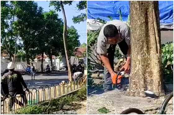 Revitalisasi Alun Alun Kediri, Ratusan Pohon Dirobohkan Alun Alun Kediri (1)_11zon